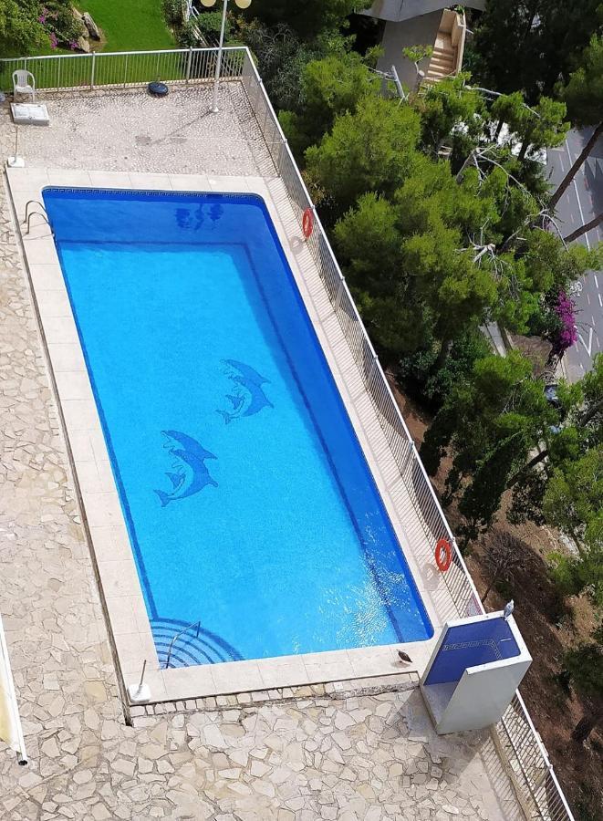Apartment Sea View