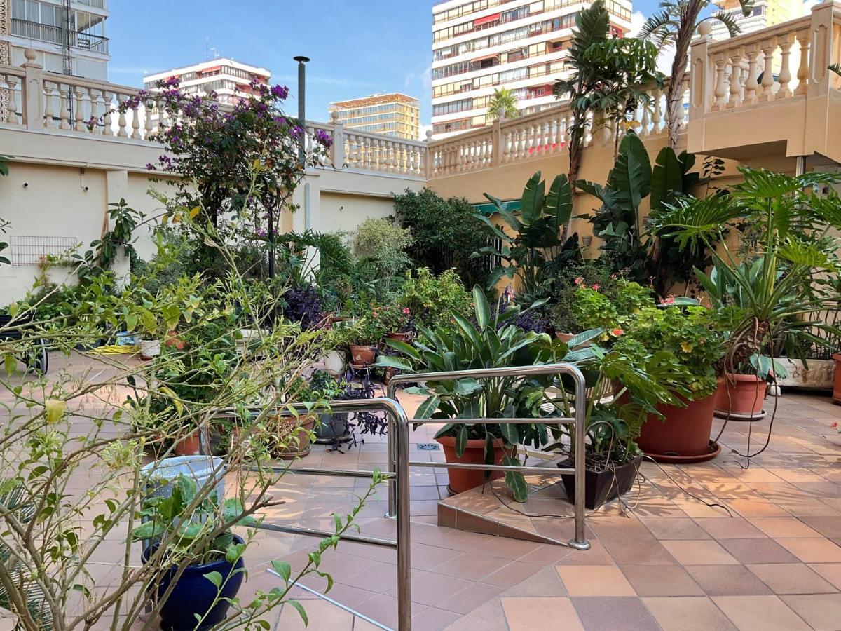 Studio Apartment Sea View