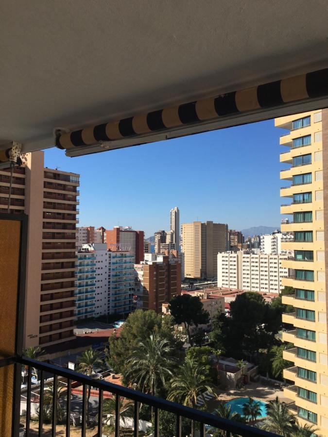 Superior Apartment,1350010135:JPEG