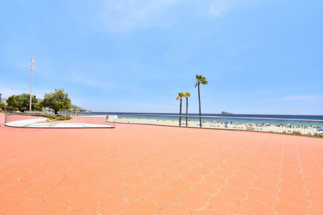 Apartment,921752155:JPEG