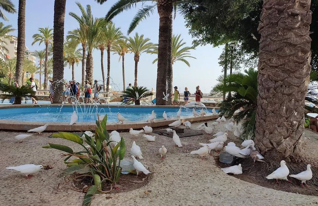 Apartamento Agua Marina Levante Beach-1
