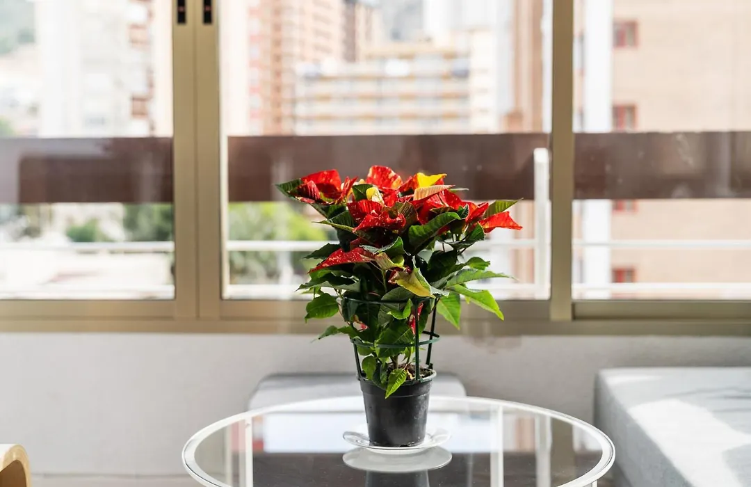 Stylish Benidorm Beach Stay-1