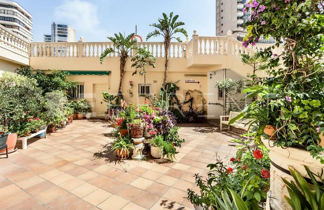 Beferent Torreprincipado Benidorm-1