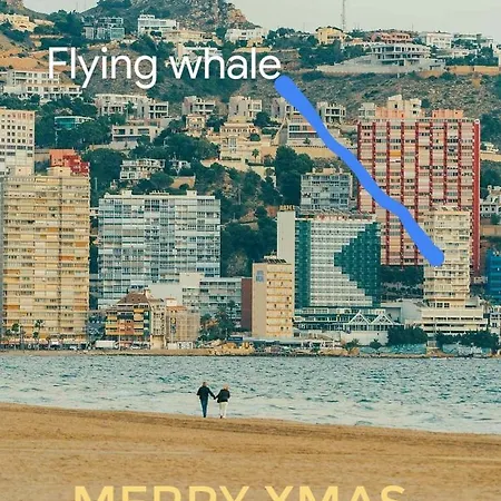 Portofino Flying Whale-2