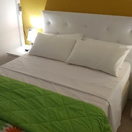 Ed L' Alcudia-2