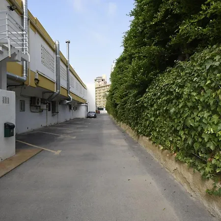 Comercial Lepanto - Fincas Arena-2