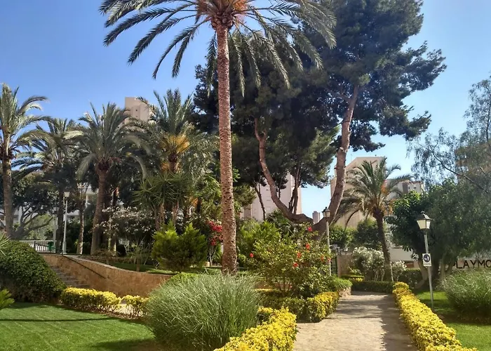 Wifi Loix Apartment Benidorm aceita animais de estimação