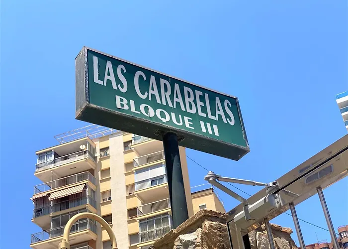 Carabelas T3-12 Benidorm acceptant les animaux