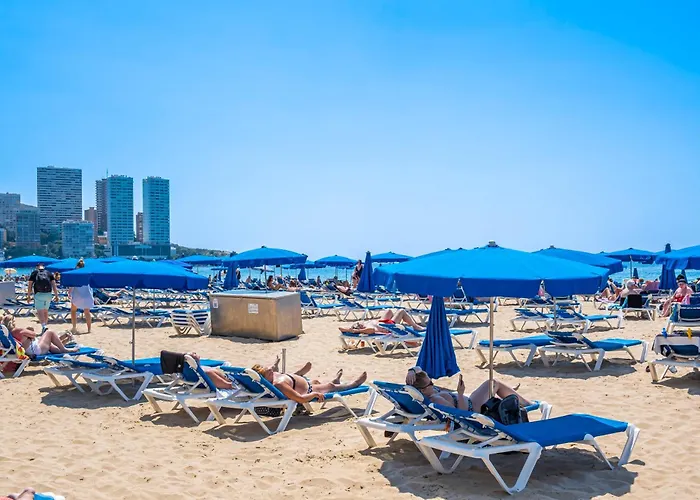 Niza 12-A Apartment Levante Beach Benidorm aceita animais de estimação