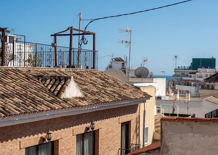 Calma Apartments Benidorm acceptant les animaux